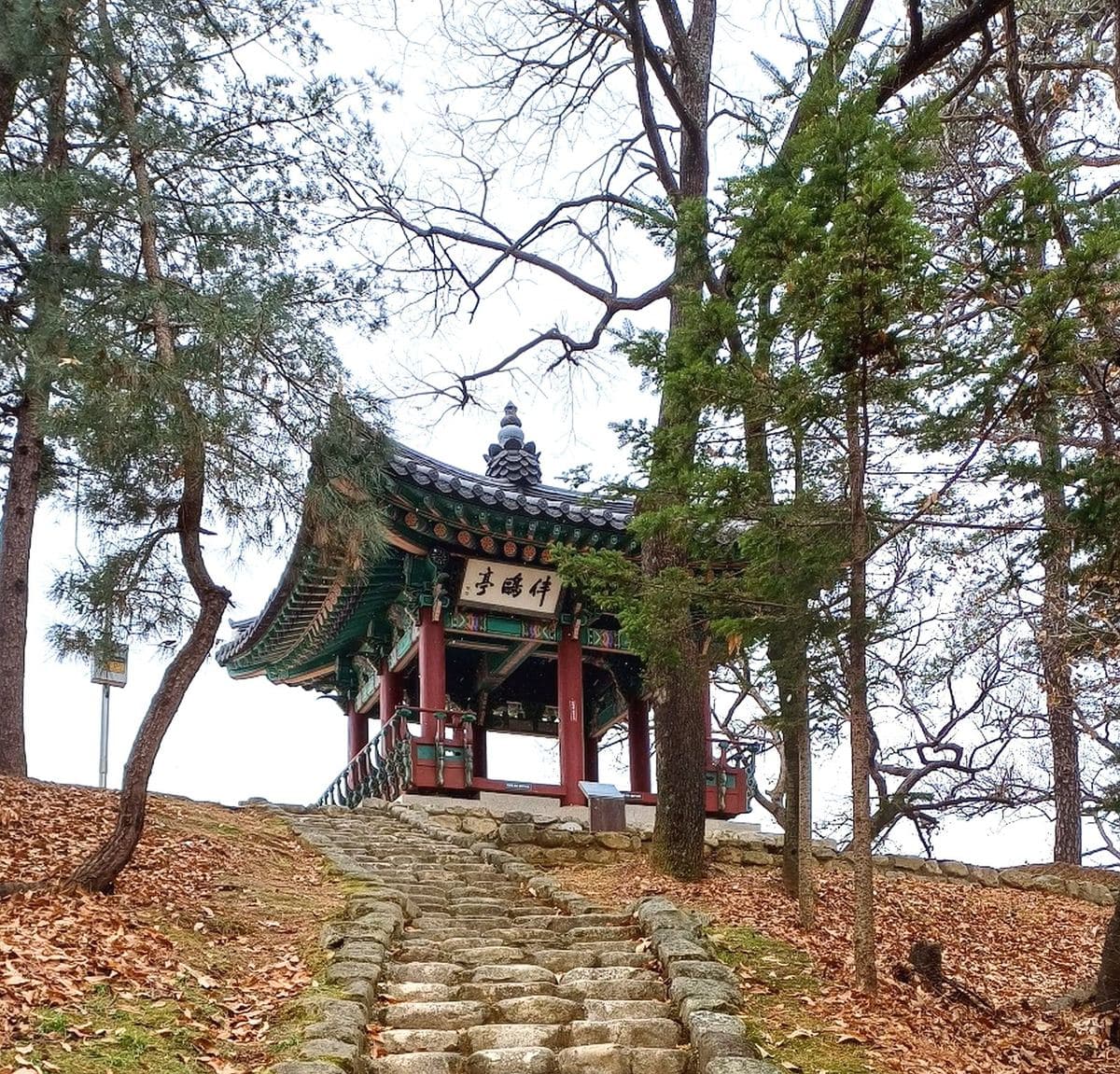 누정기행3 파주 반구정
